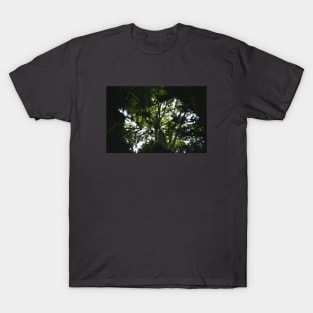 Kaleidoscope Diary Into The Woods T-Shirt